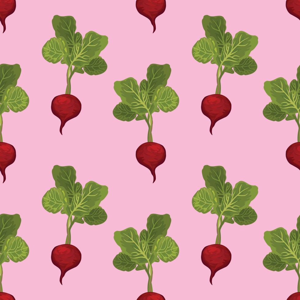 beatroot dibujar a mano vegetales sin costuras vector