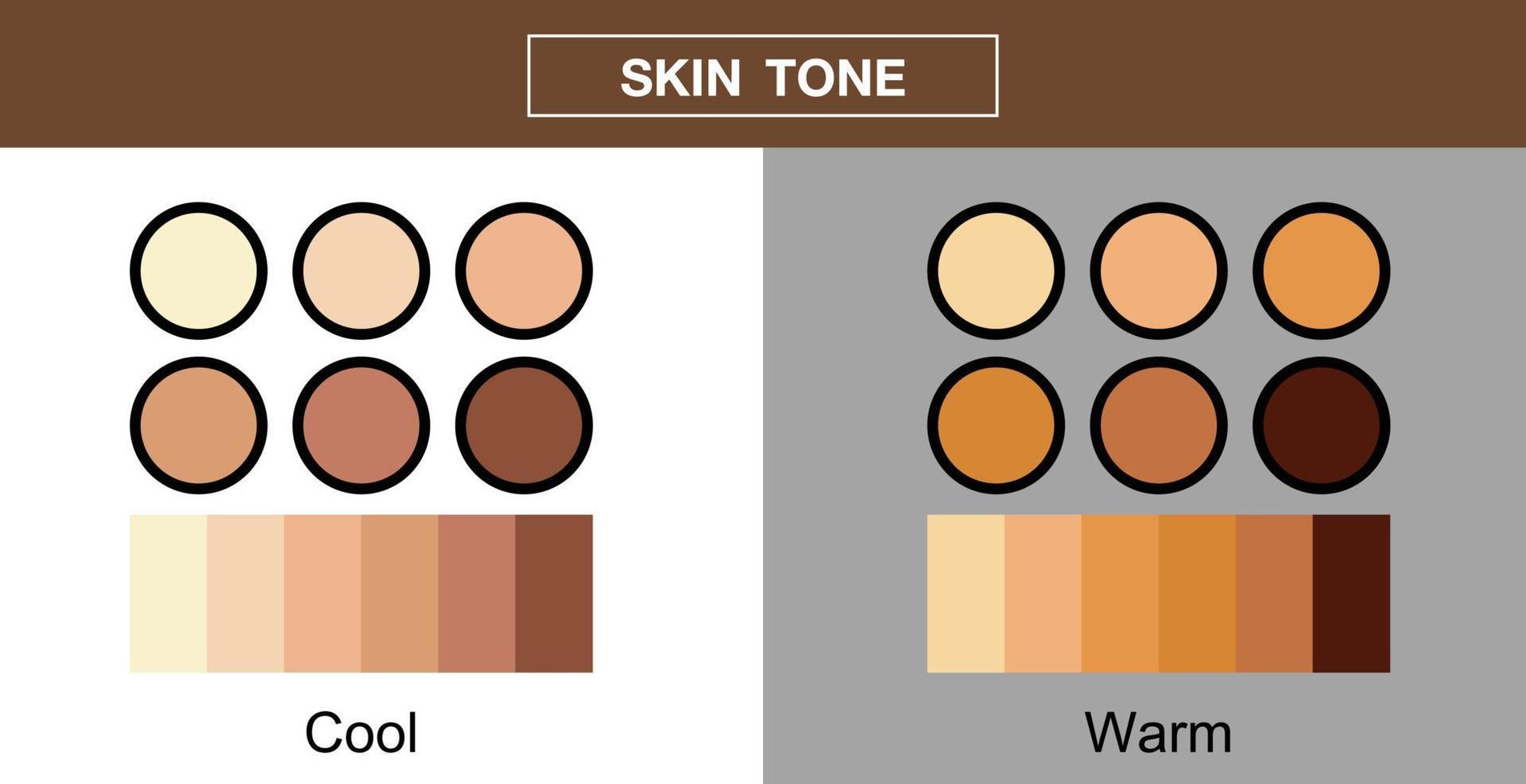 tono de piel, paleta de colores, diseño vectorial vector