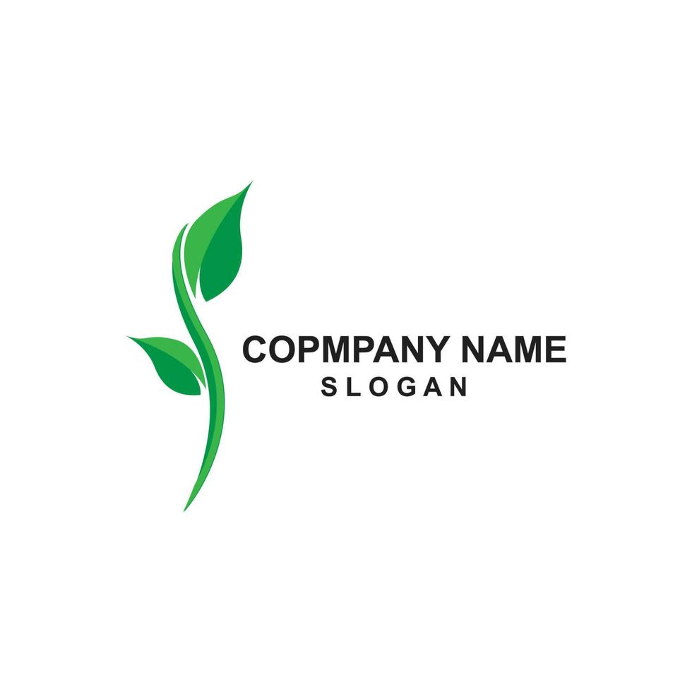 premium quality green leaf plant logo vector symbol