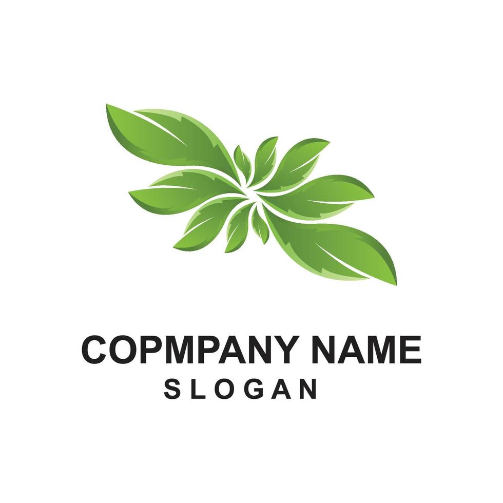 premium quality green leaf plant logo vector symbol