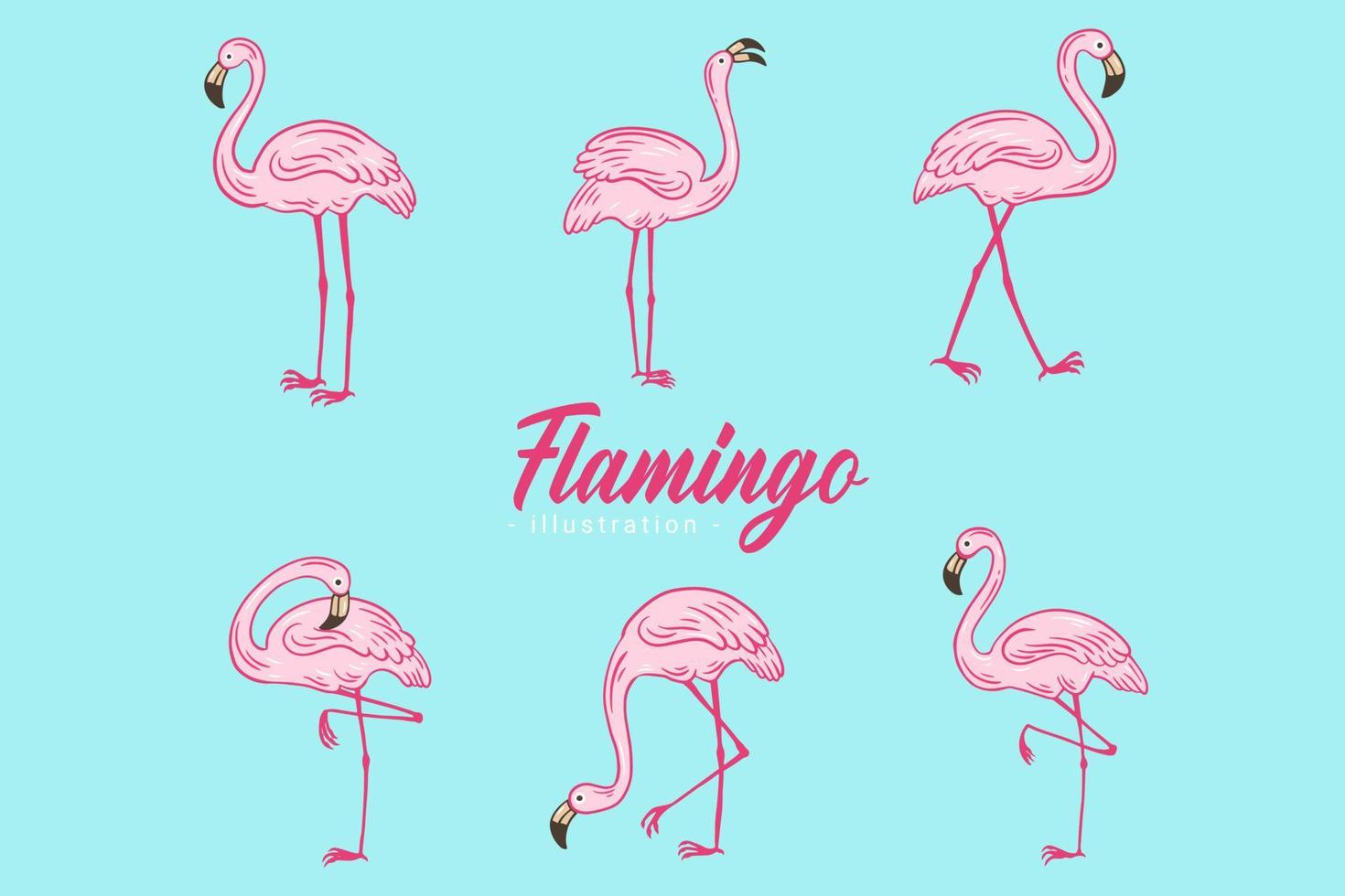 Set of Cute Flamingo pink Bird flamingos Aesthetic Tropical Exotic Hand drawn flat style collection vector