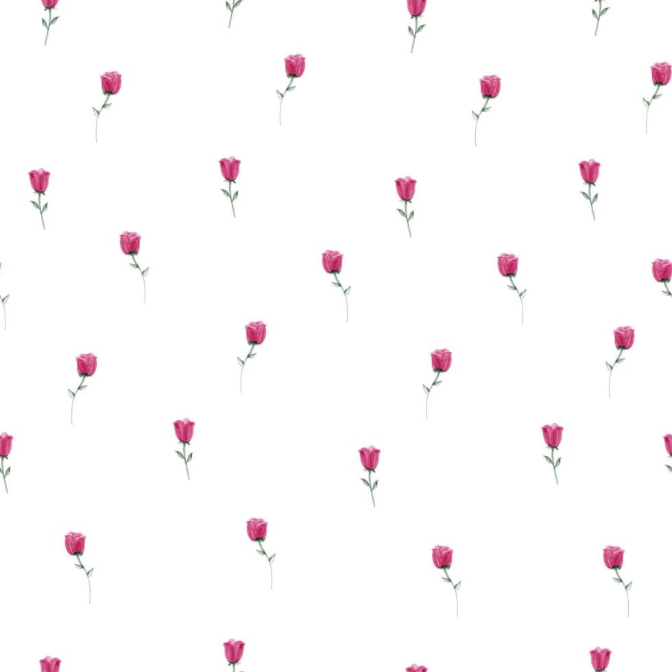 seamless pink roses pattern background , greeting card vector