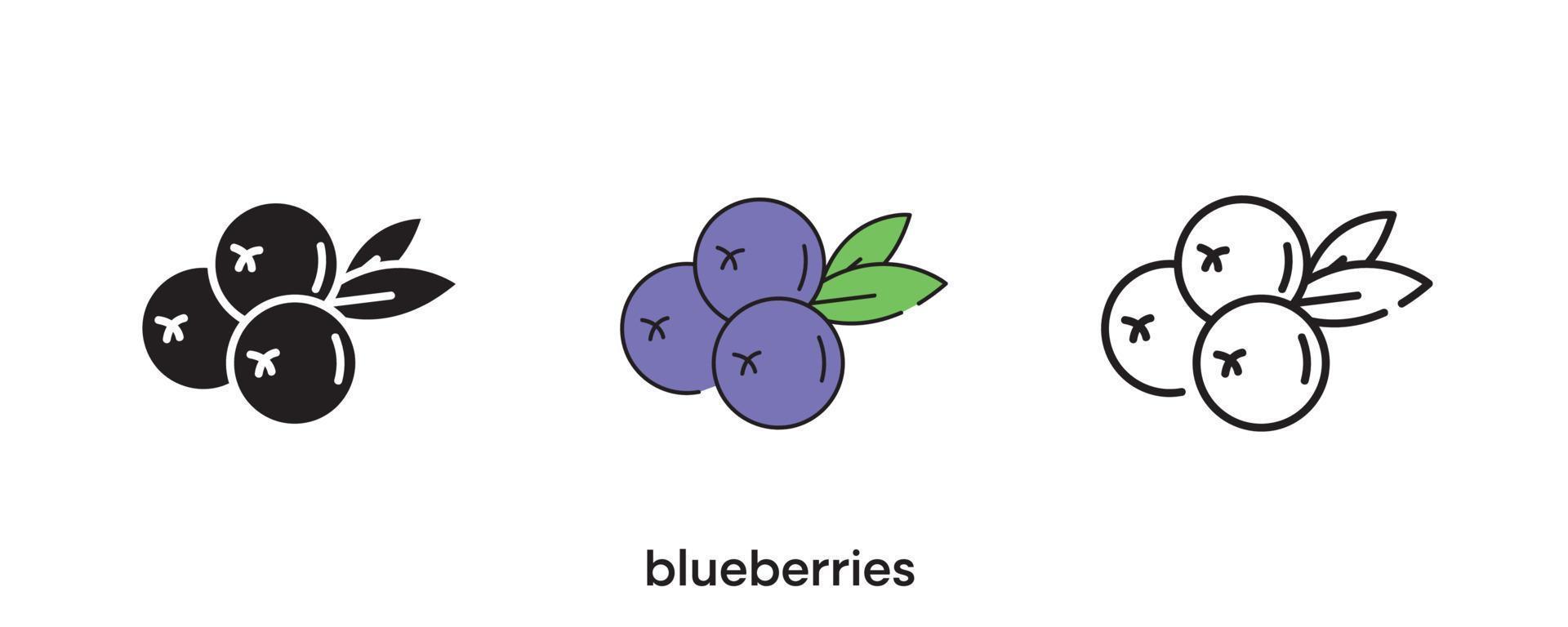 Blueberries icon design. Blueberries icon set in silhouette, colored and linear. Blueberries icon line vector illustration isolated on a clean background for your web mobile application logo design.