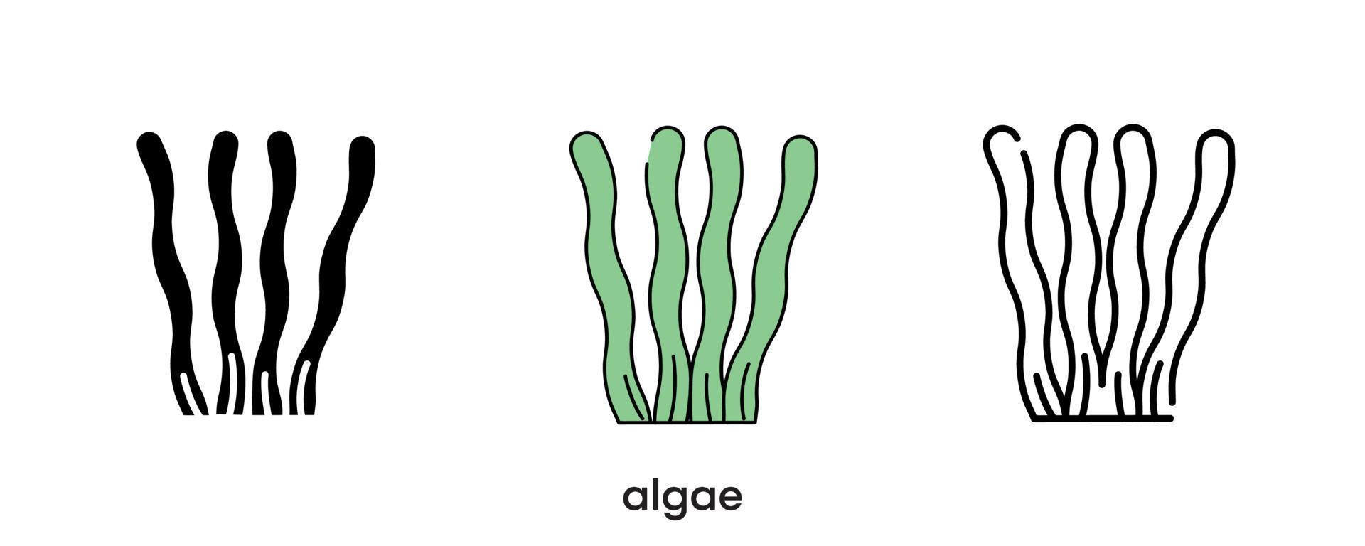 Algae icon design. Set of silhouette, colorful and linear algae icon. Food icon line vector illustration isolated on a clean background for your web mobile application logo design. Modern line.