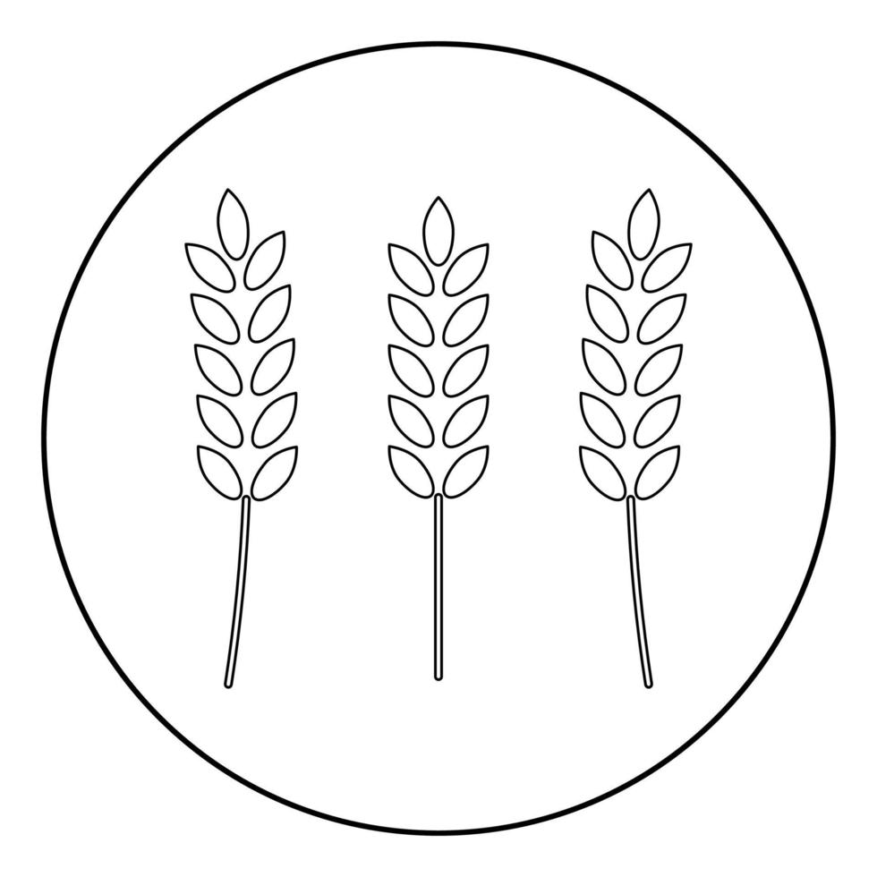 icono de trigo color negro en círculo vector