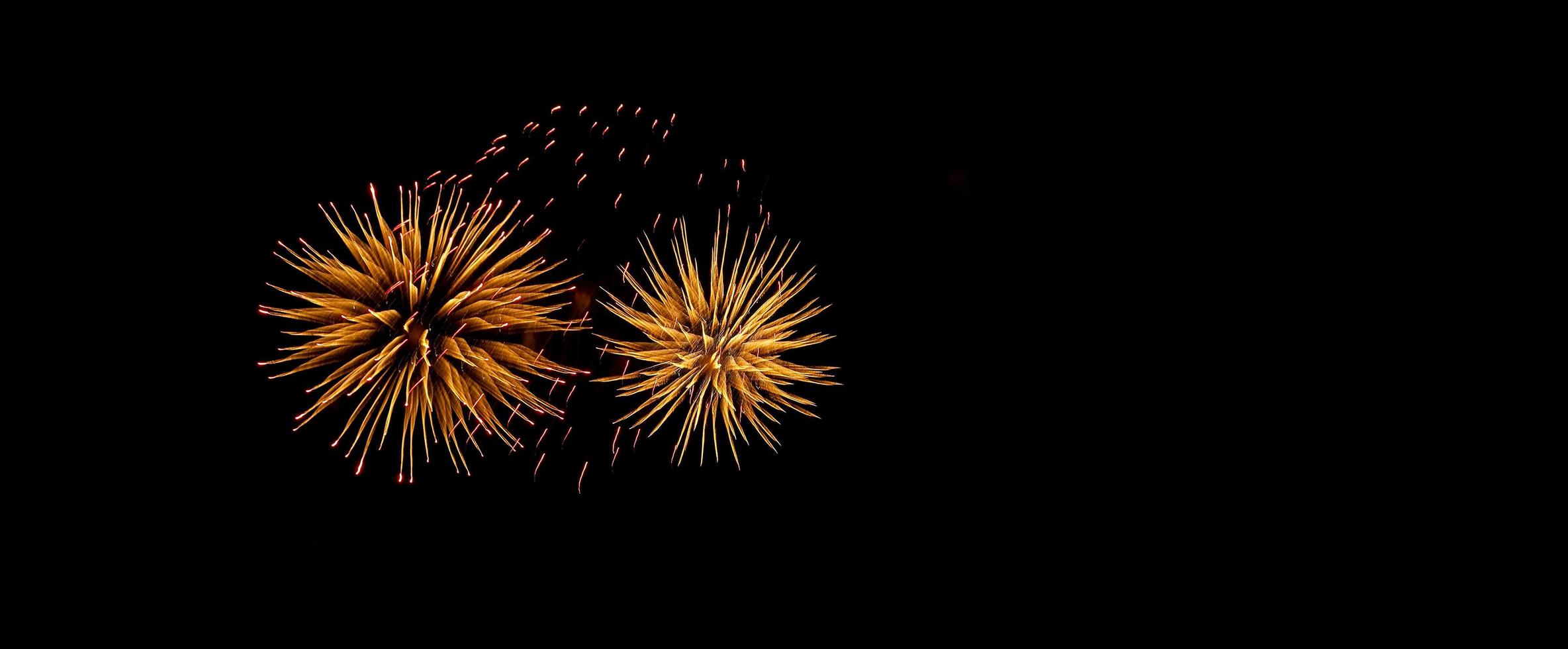 Two fireworks in the night sky photo