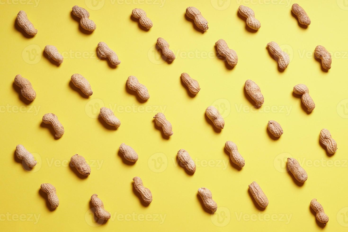 rows of peanuts arranged on yellow background photo