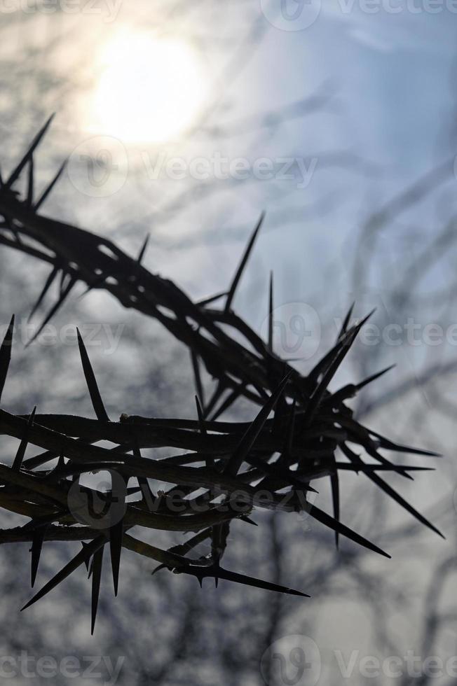 Crown of thorns and nature background photo