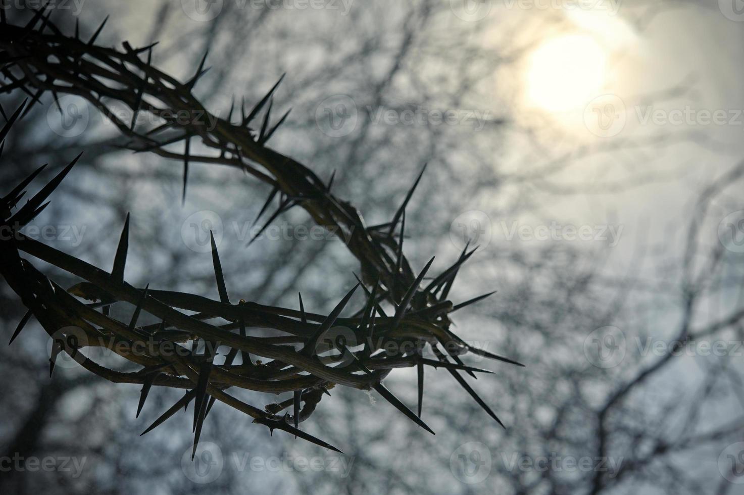 Crown of thorns and nature background photo