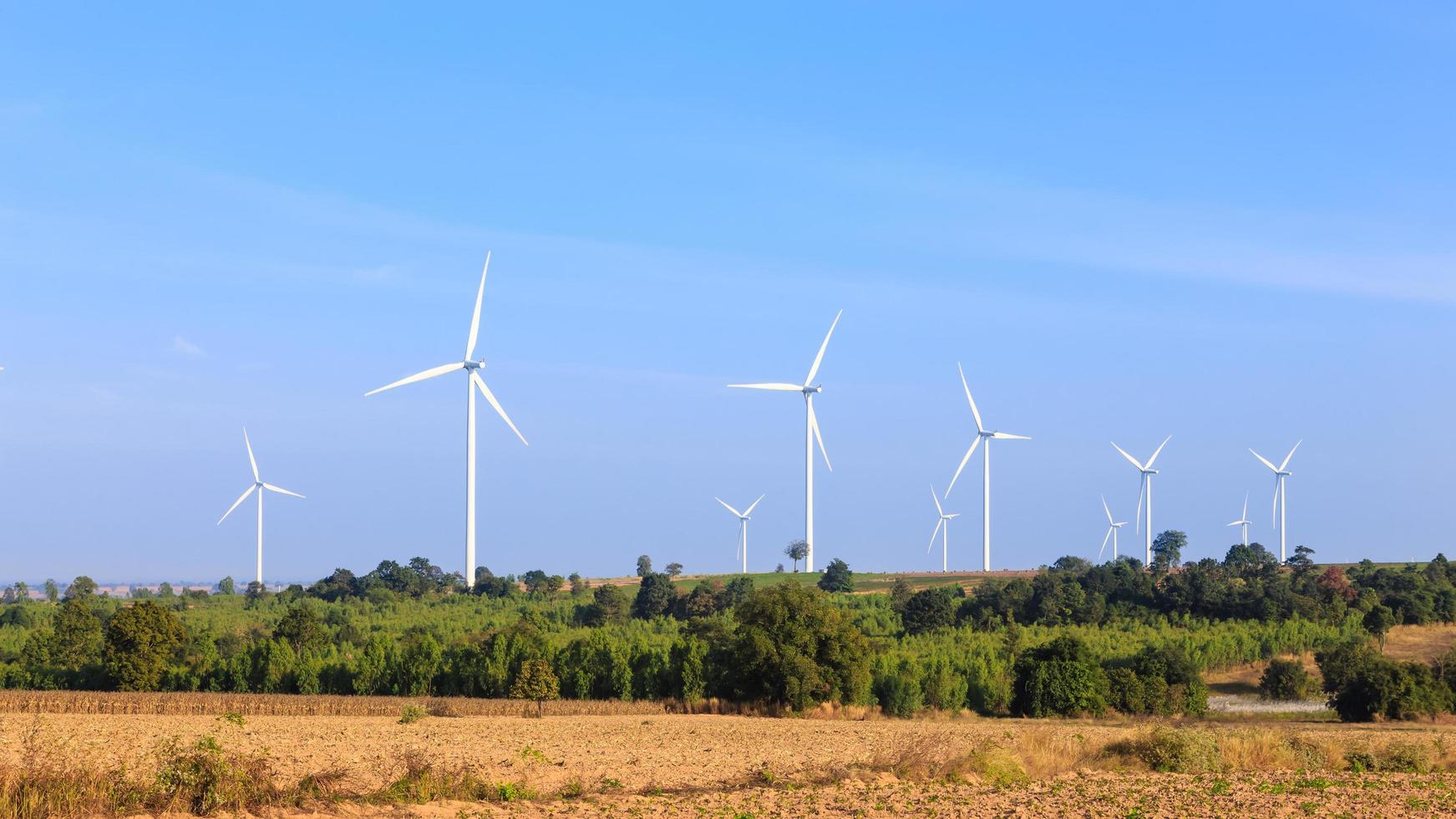 Group of wind turbine power generator photo