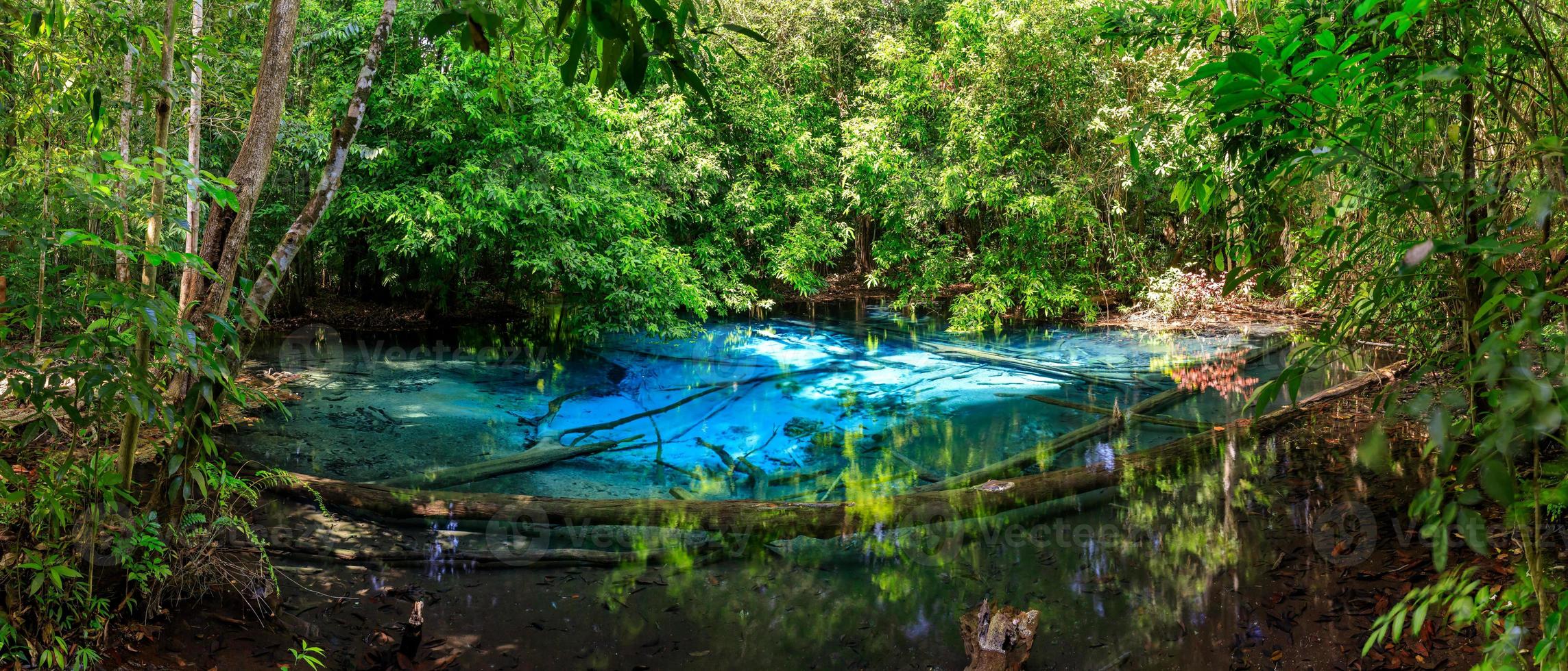 piscina azul, manantial turquesa cristalino escondido en medio del bosque, krabi, tailandia, panorama foto