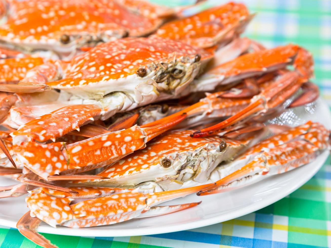 Close-up steamed crabs in dish photo