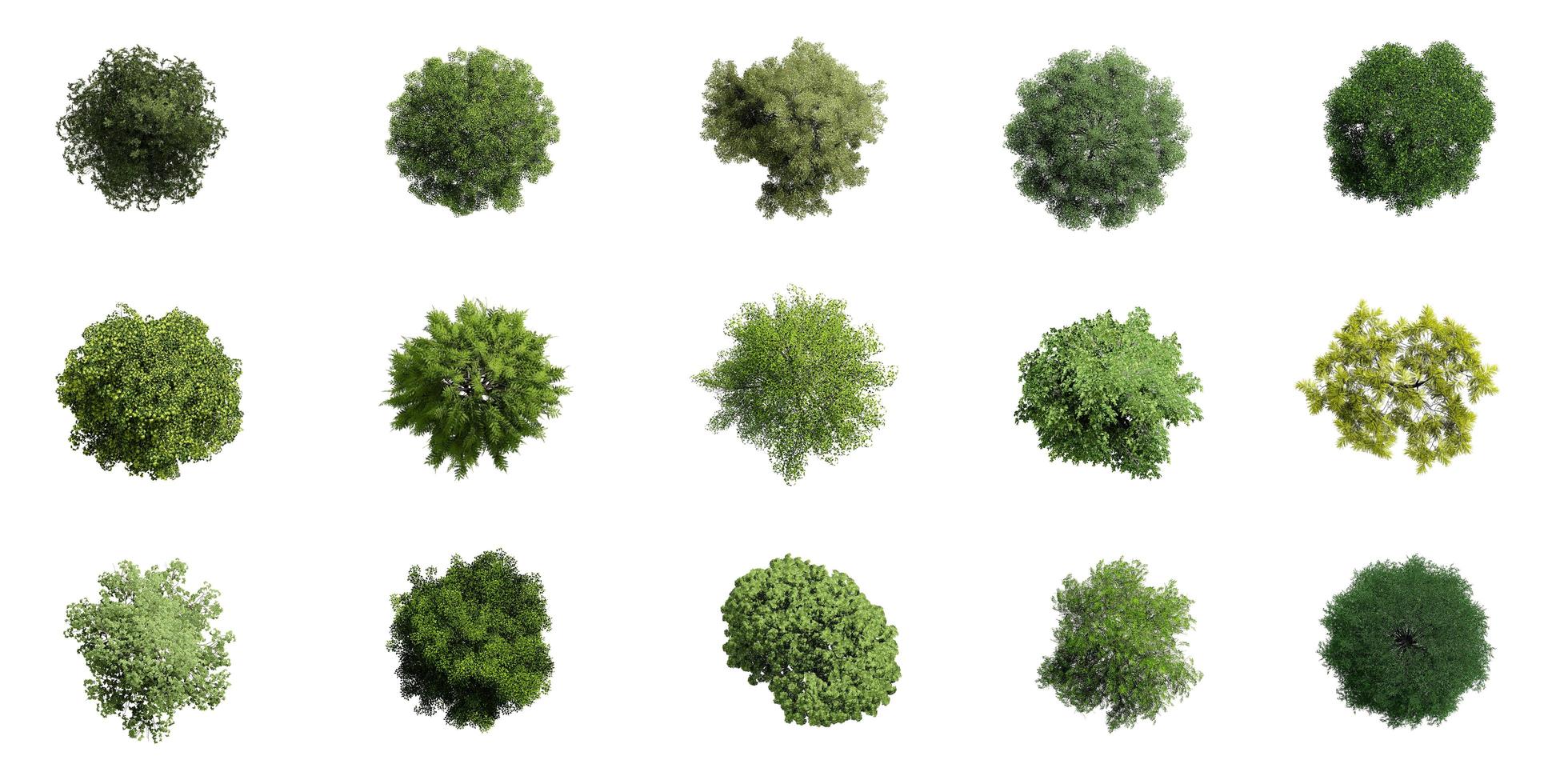 Collection of 3D tree top view isolated on white background, for use visualization in architectural design photo