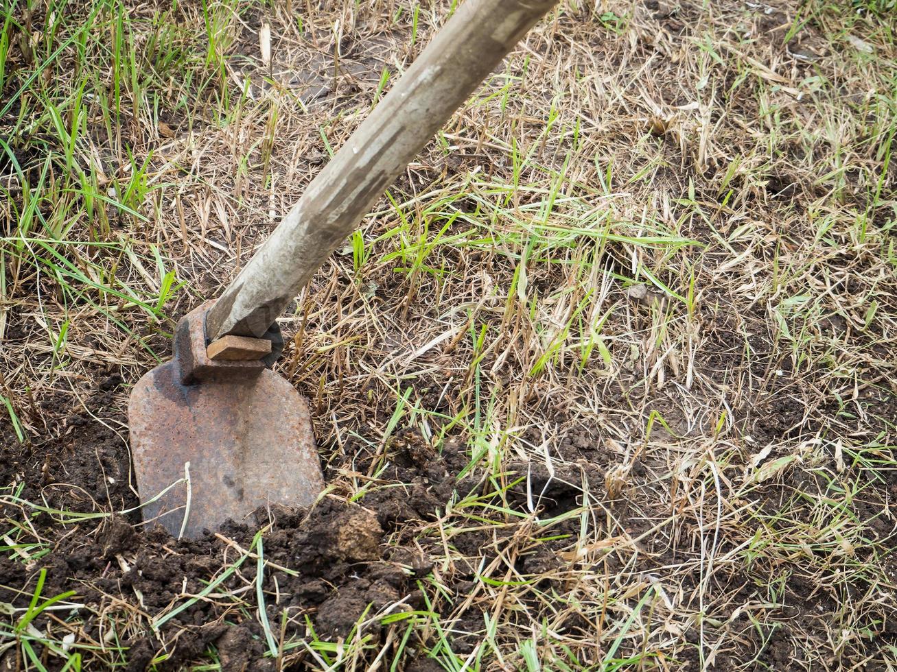 hoe in the garden photo