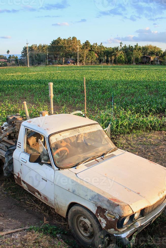 Old Rusty car in agriculture field photo