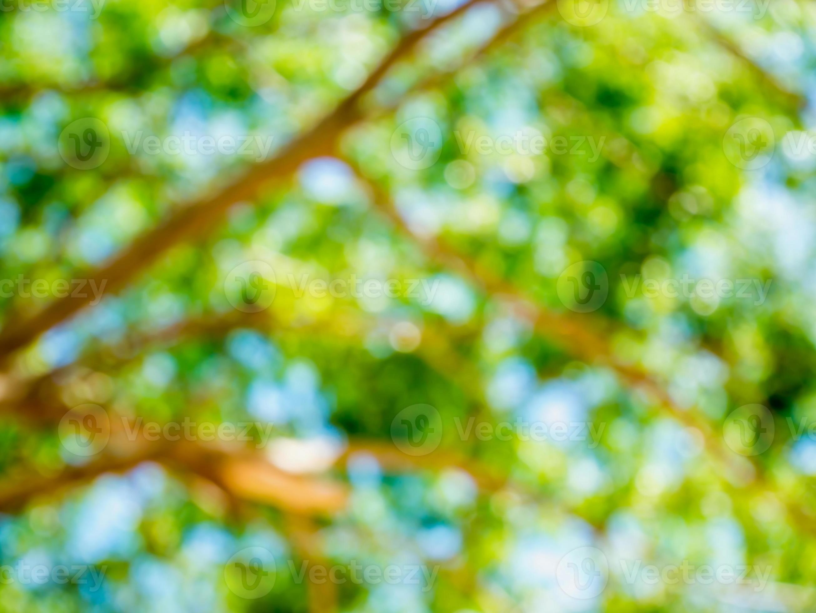 Nature tree background deals
