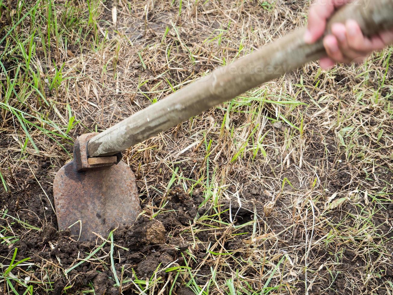 hoe in the garden photo