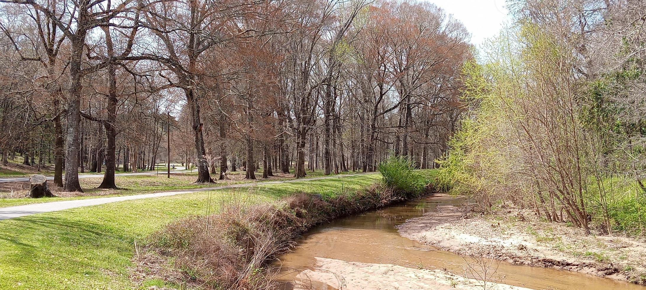 The Path of the Creek photo