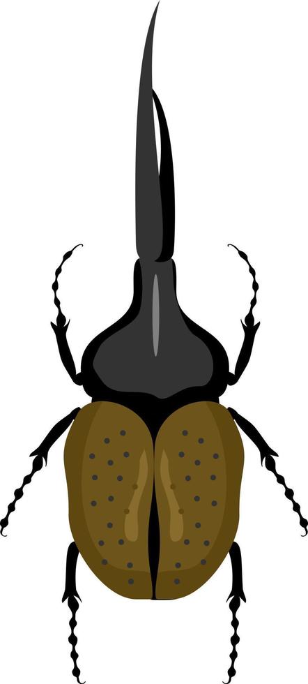 Hercules beetle. view from above vector