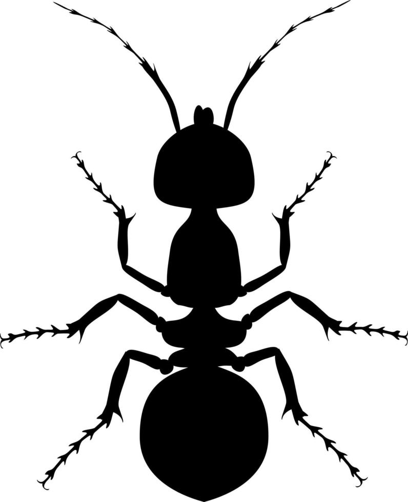 Ant black silhouette top view. Icon or insect symbol. vector