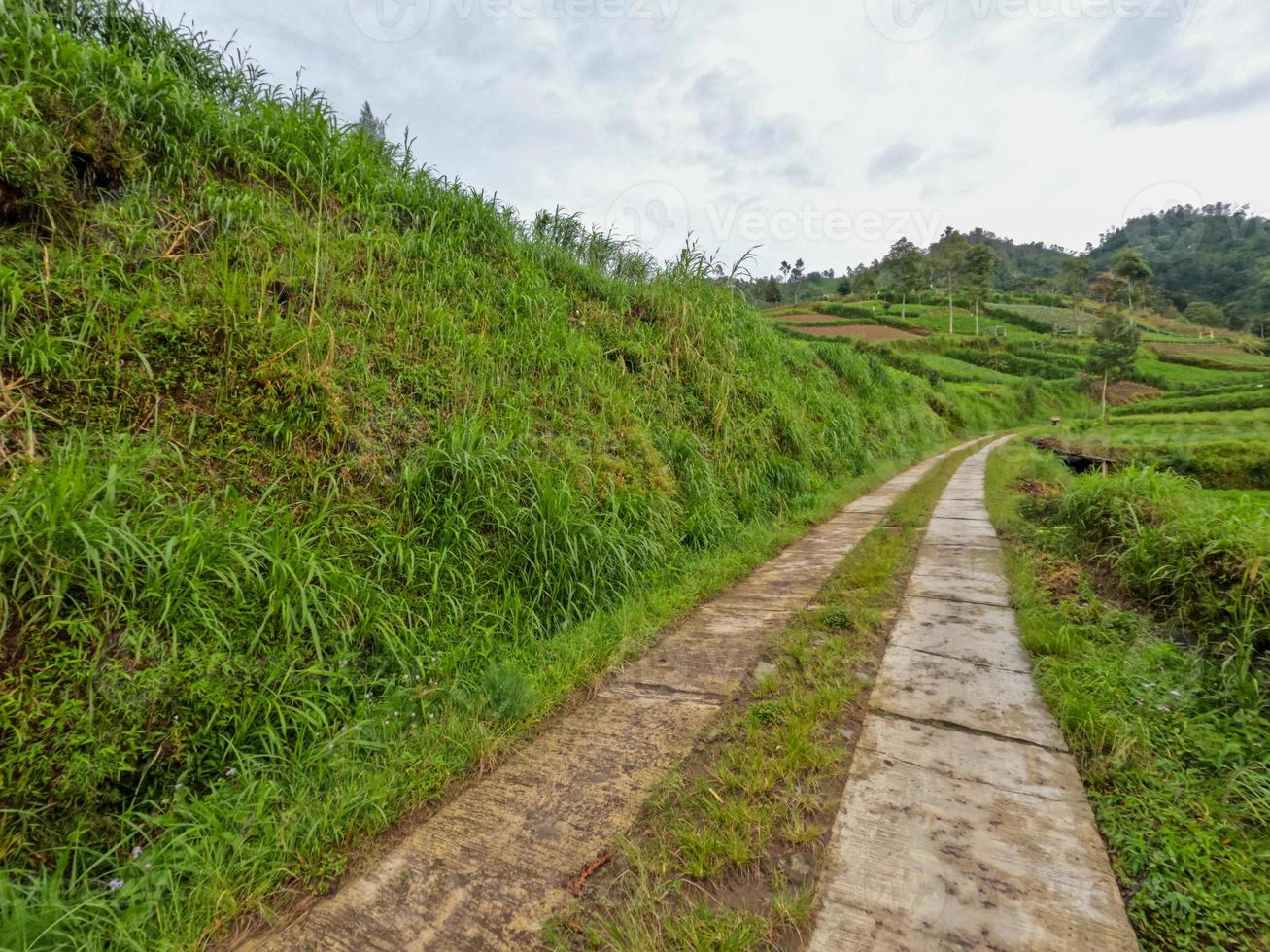 View of a narrow road in the countryside with green surroundings with fresh air photo