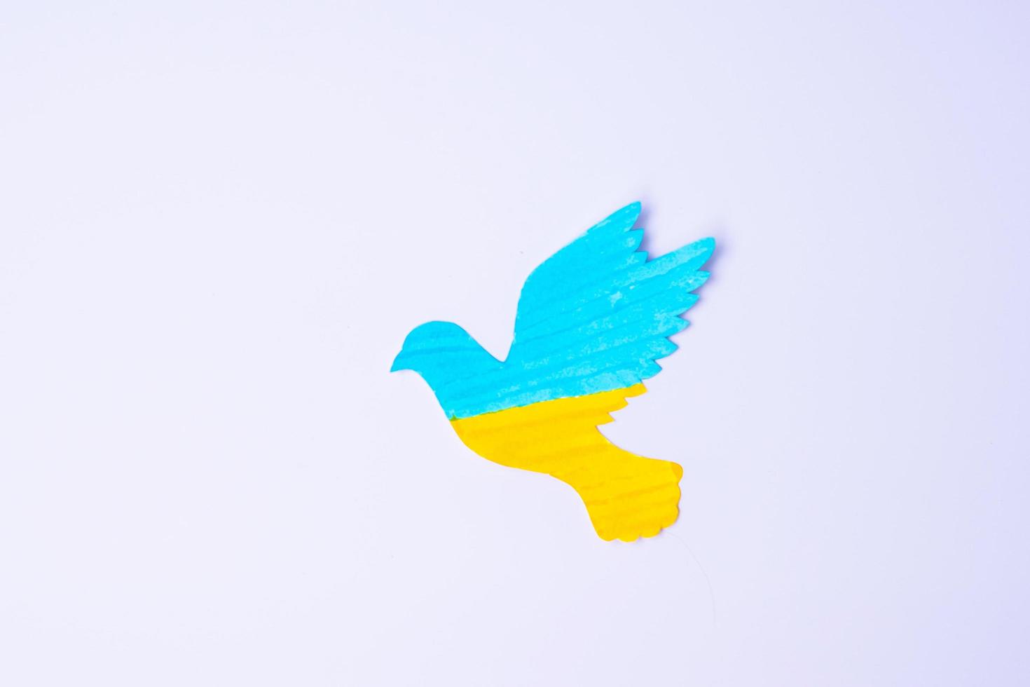 Support for Ukraine in the war with Russia, peace dove with flag of Ukraine. Pray, No war, stop war and stand with Ukraine concepts photo