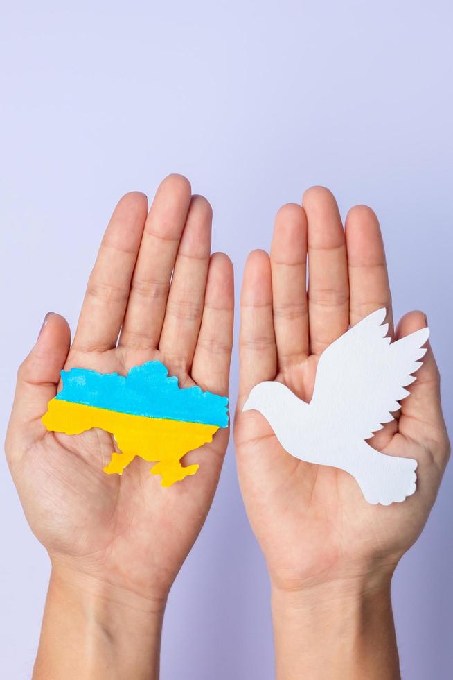 Support for Ukraine in the war with Russia, Hands holding peace dove with border flag of Ukraine. Pray, No war, stop war and stand with Ukraine concepts photo