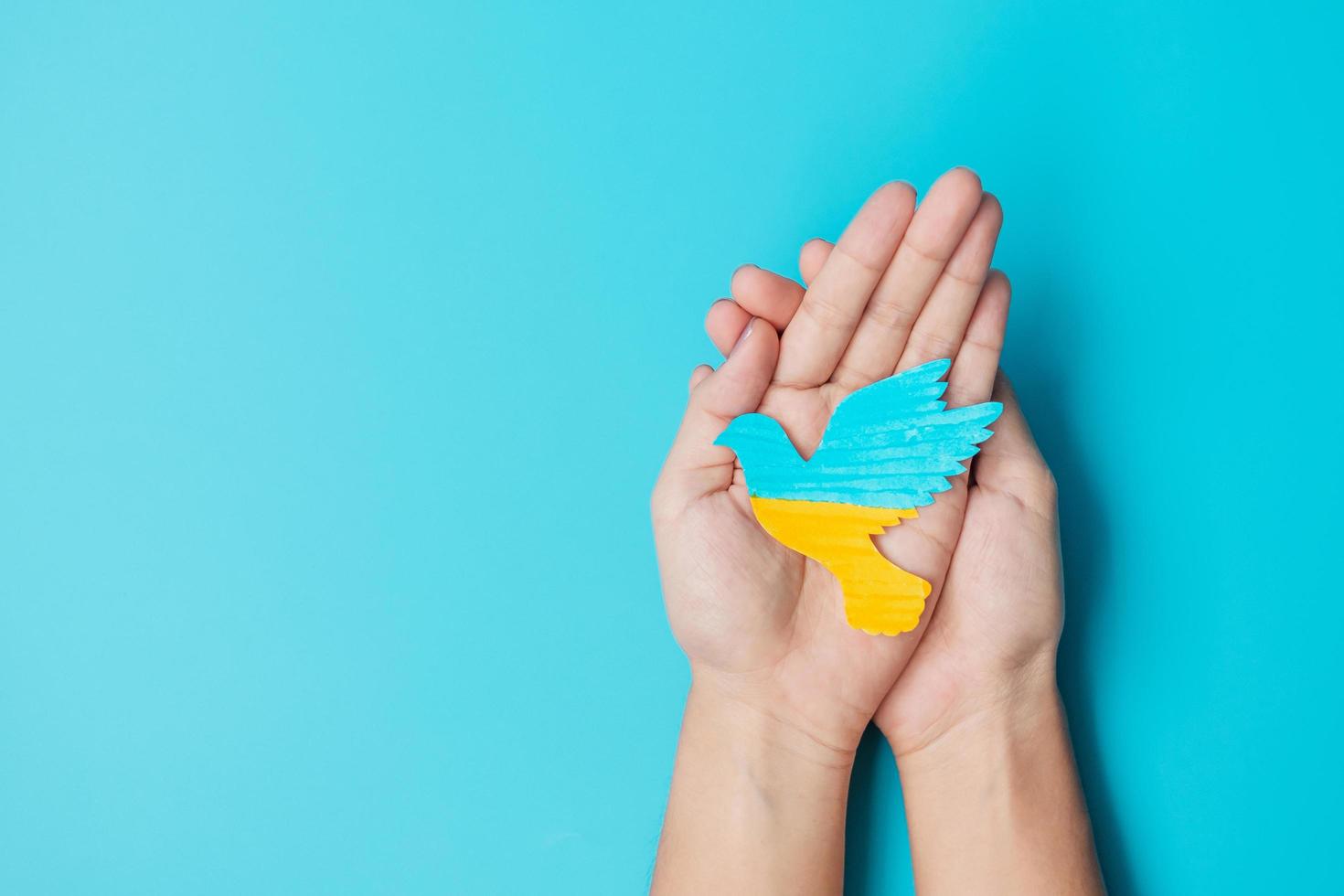 Support for Ukraine in the war with Russia, Hands holding peace dove with flag of Ukraine. Pray, No war, stop war and stand with Ukraine concepts photo