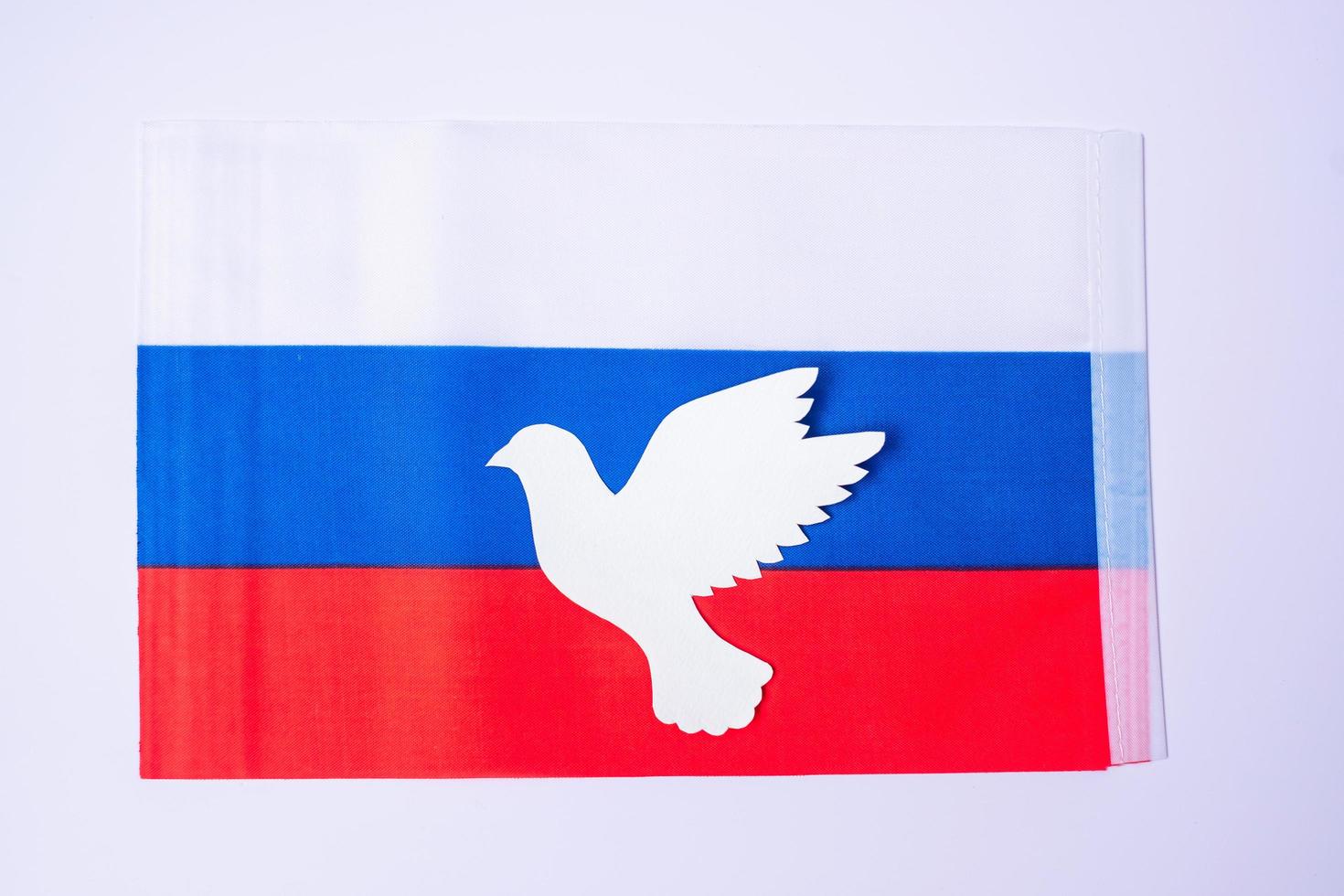 apoyo a rusia en la guerra, paloma de la paz con bandera de rusia. oren, no a la guerra, detengan la guerra y apoyen los conceptos de rusia foto