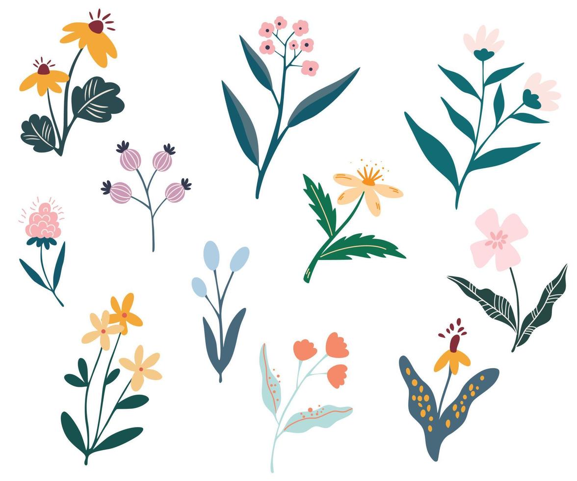 Flowers set. Collection of colorful floral elements in flat color. Set of spring and summer wild flowers, plants, branches, leaves and herb. Vector illustration for decor, website, graphic and shop.