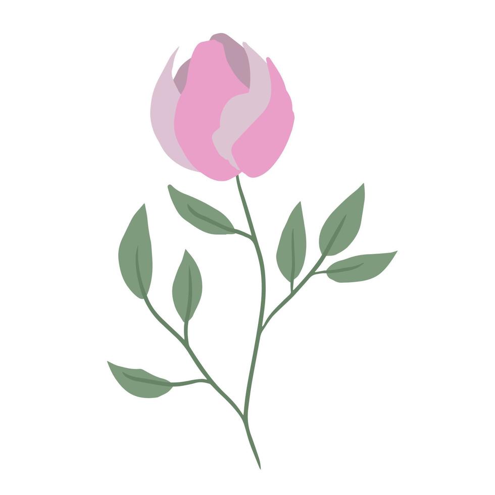 hermosa flor de peonía rosa. planta minimalista en colores suaves vector