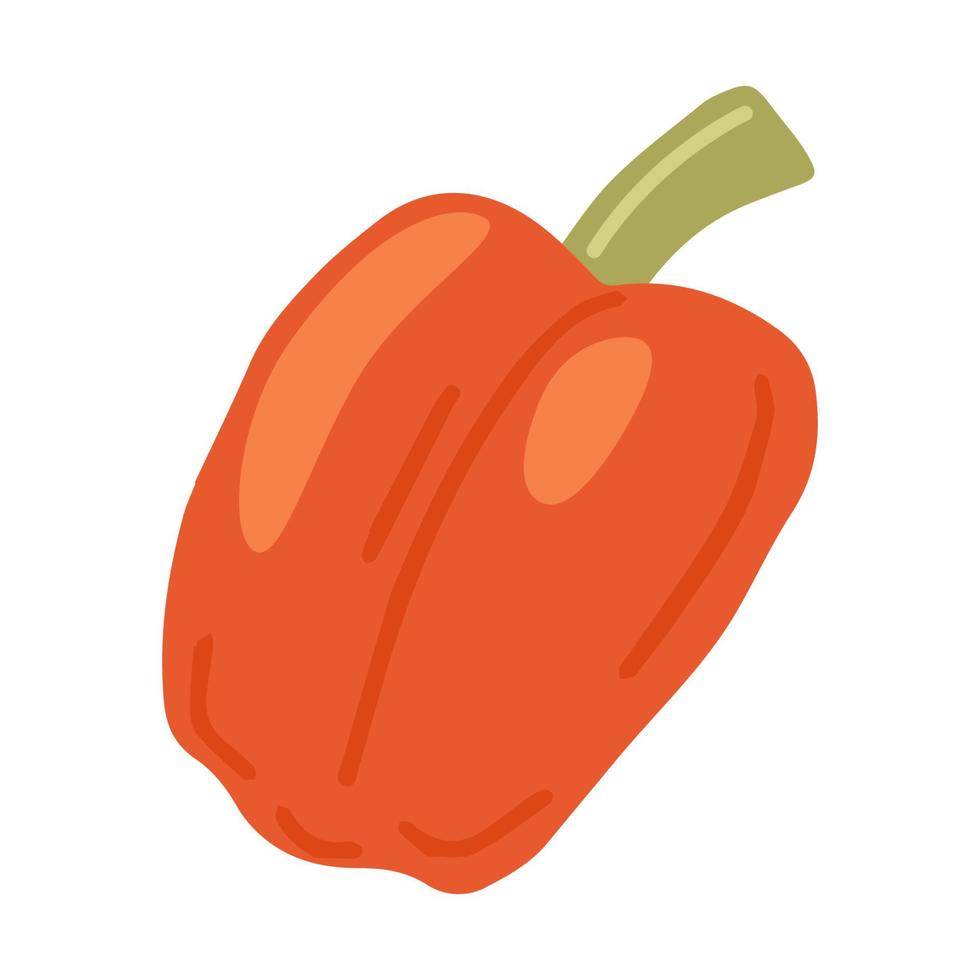 Red Sweet bell pepper. Ripe whole vegetable. vector