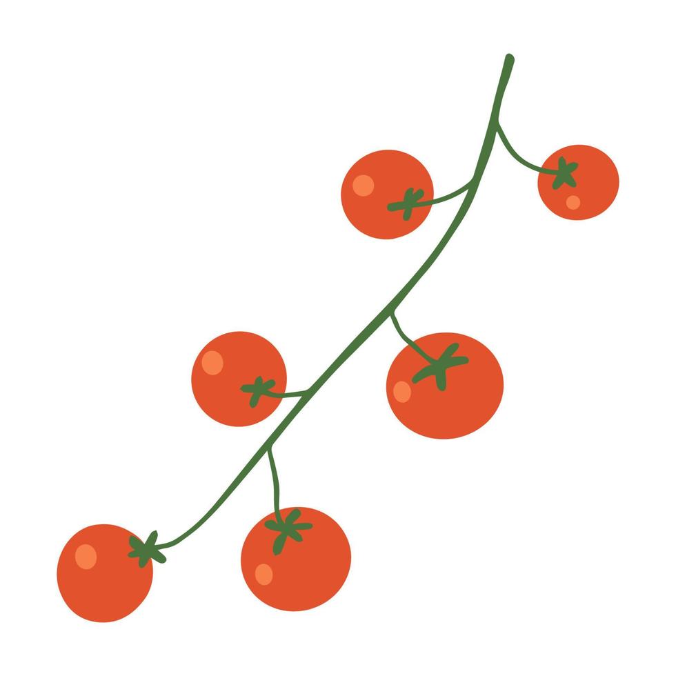 delicioso tomate cherry rojo en una rama. alimentos ecológicos orgánicos de la granja. ilustración vectorial dibujada a mano plana aislada sobre fondo blanco vector