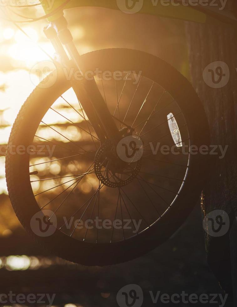 bicycle wheel at sunset photo