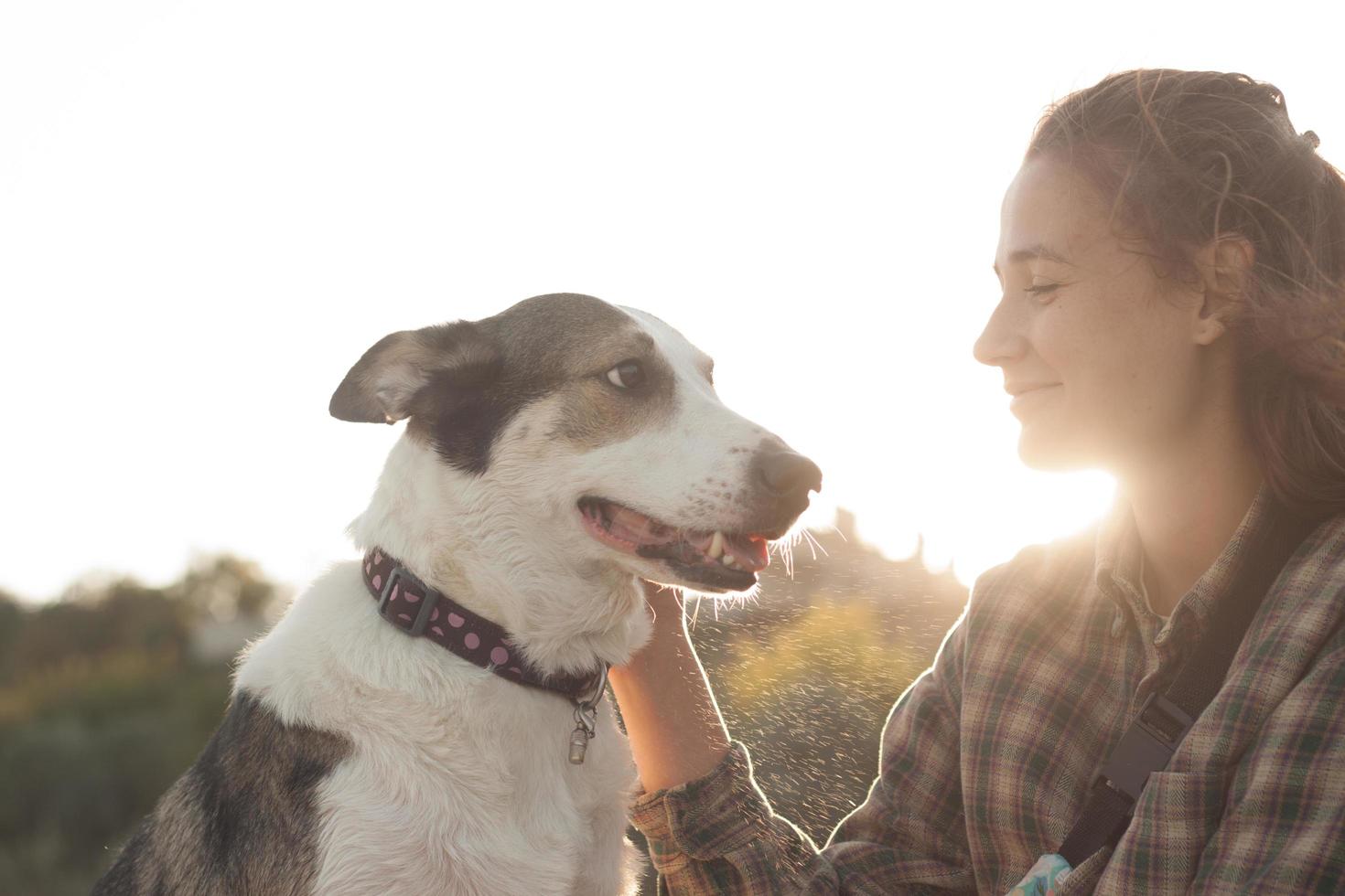 Woman play with dog on the beach photo