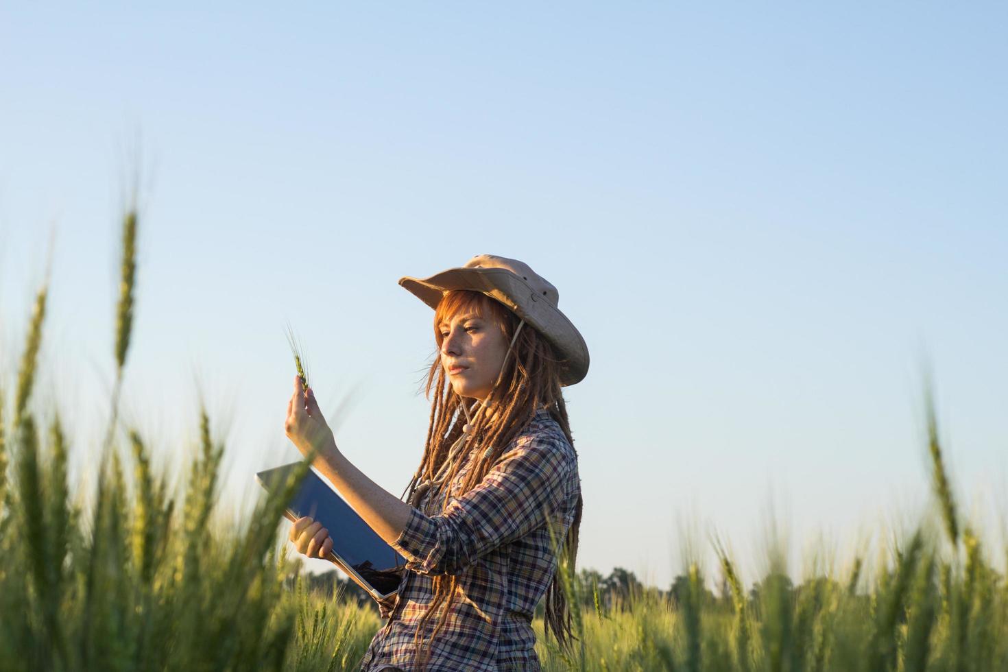 Young woman farmer work in the wheat fields with the tablet in hands photo