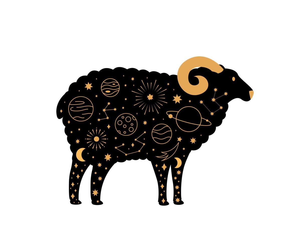 Black magical sheep, Mystic crescent moon esoteric symbol, constellation elements. vector