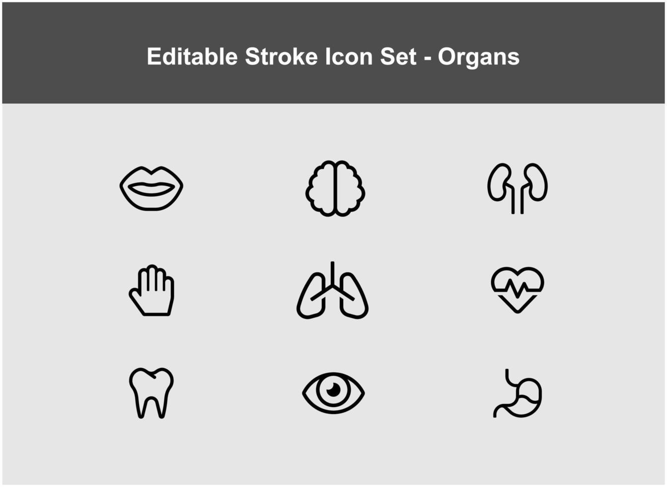set of thin organ icons vector
