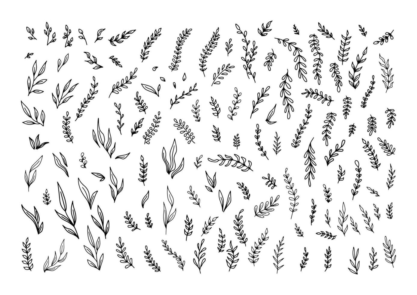 Hand Drawn cute vintage floral elements of flowers, leaves, branches, decorative plants for design background, invitations, greeting cards, logos, flyers, scrapbooking. Isolated vector on white.