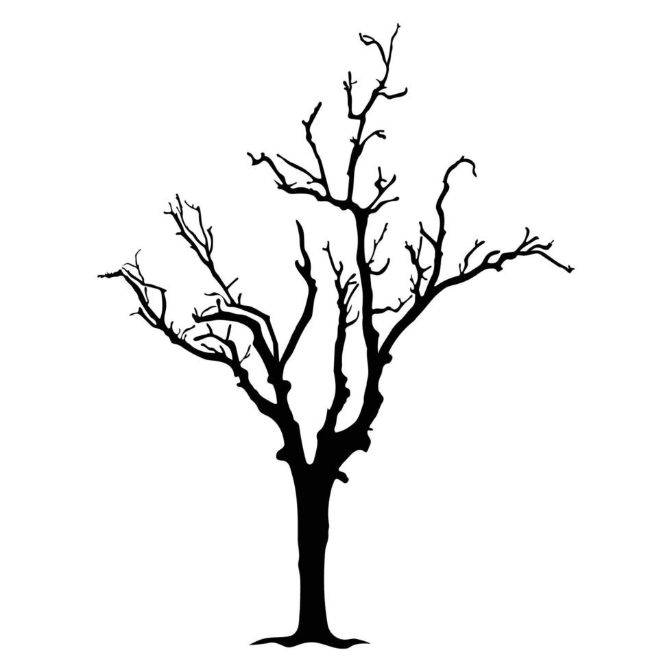 silueta de árbol sobre fondo blanco vector