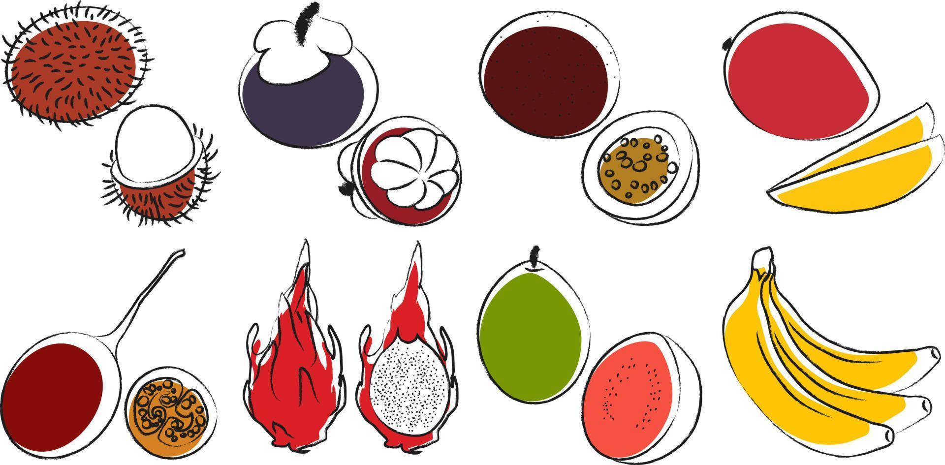 Tropical Fruits 2 vector