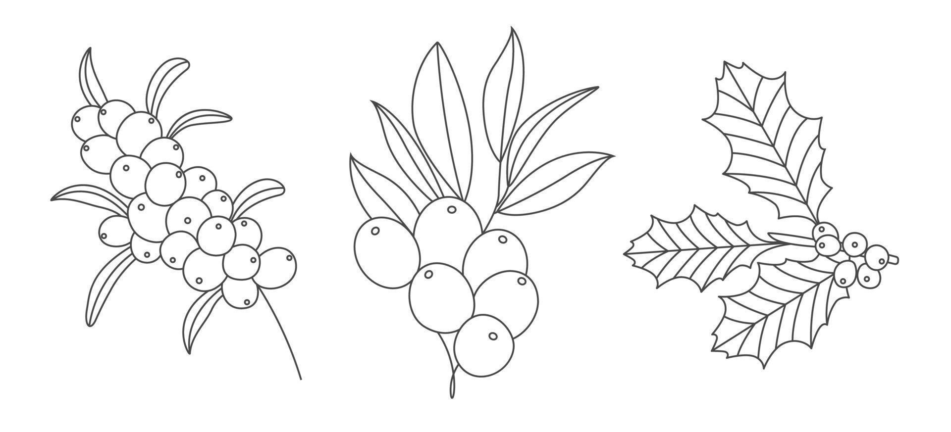 Brunch Of Fruits Line Drawing vector