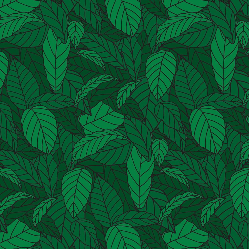 ilustración vectorial dibujada a mano del patrón de la hoja verde. fondo de pantalla vector