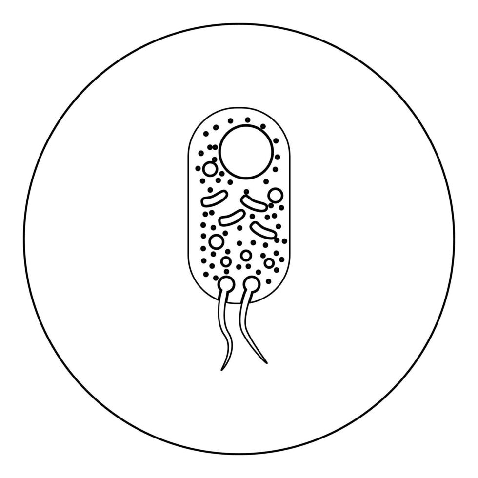 Bacteria icon black color in circle vector