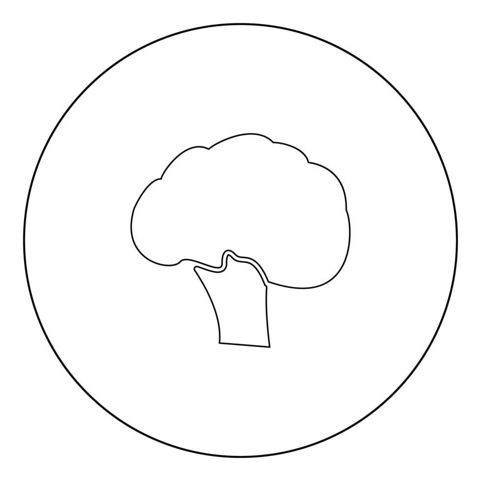 Broccoli black icon in circle vector illustration isolated .