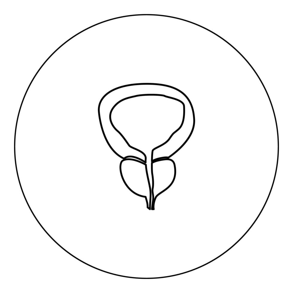 The prostate gland and bladder icon black color in circle vector illustration isolated