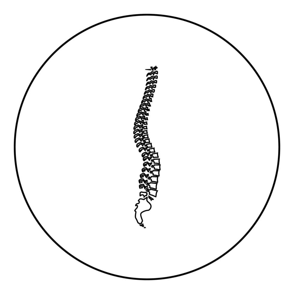icono de la columna vertebral color negro en círculo vector