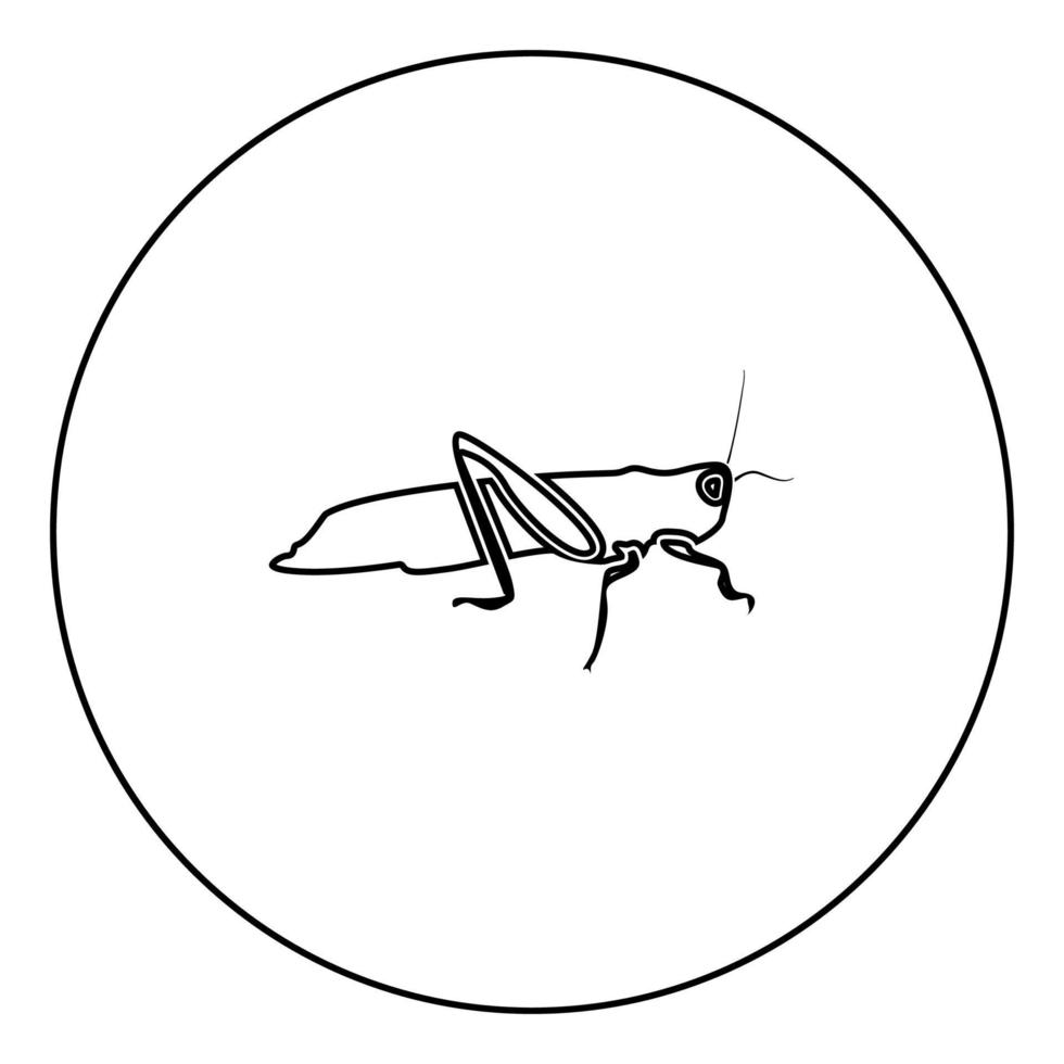 icono de saltamontes color negro en círculo vector