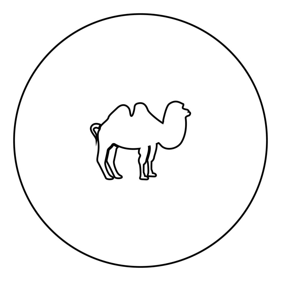 camello, icono negro, en, círculo, contorno vector