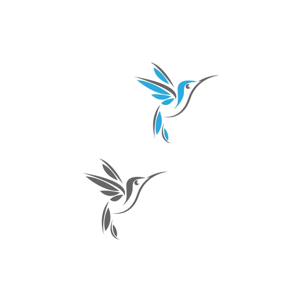 diseño creativo del icono del logotipo del colibrí vector